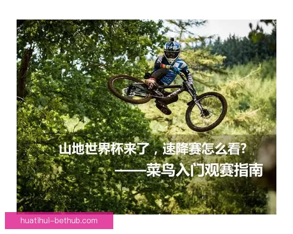 世界杯赛事深度解析与投注技巧全面指南